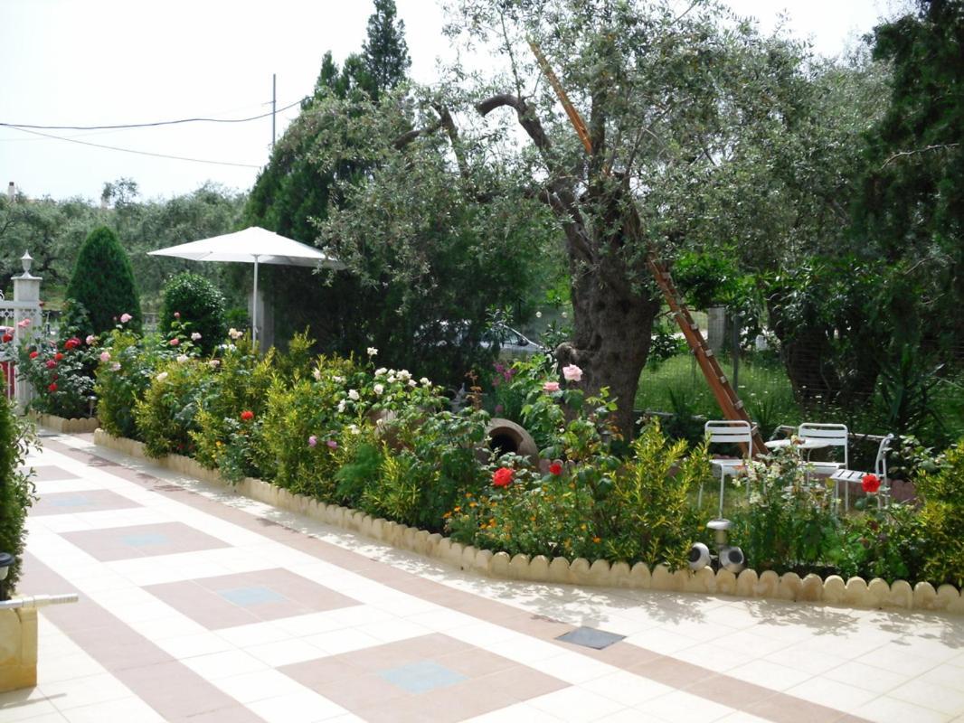 Ioli Apartments Limenas  Ngoại thất bức ảnh